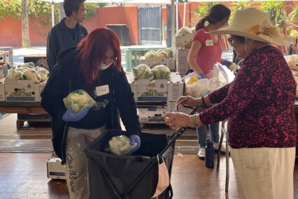 El condado de Santa Clara podría perder millones en asistencia alimentaria