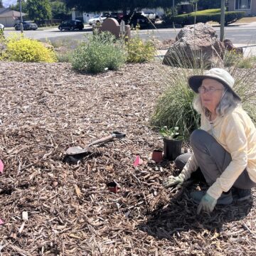 Una mujer trabajando con plantas en un parque público de San José.