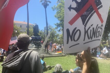 People protesting at a park